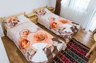 Гостевой дом Rodopsko Katche Alamovtsi Двухместный номер с 2 отдельными кроватями-8